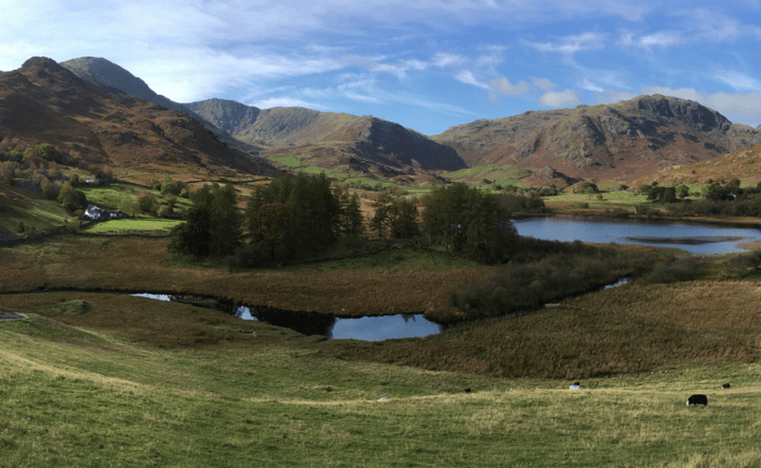 Self-care and remote-working